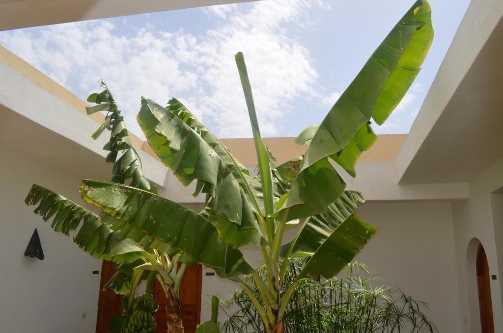 מלון Ida Ougourd Casa Naima מראה חיצוני תמונה